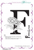 F is for... Rubber Stamp sheet - Chocolate Block